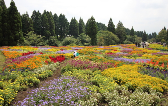 b0243152_13250930.jpg