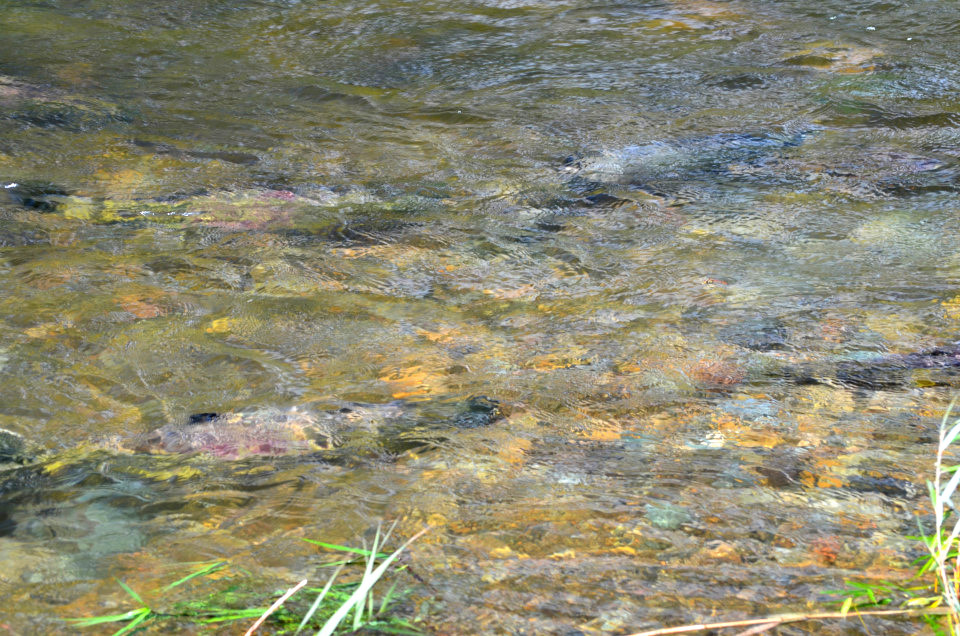 d0283357_1554251.jpg