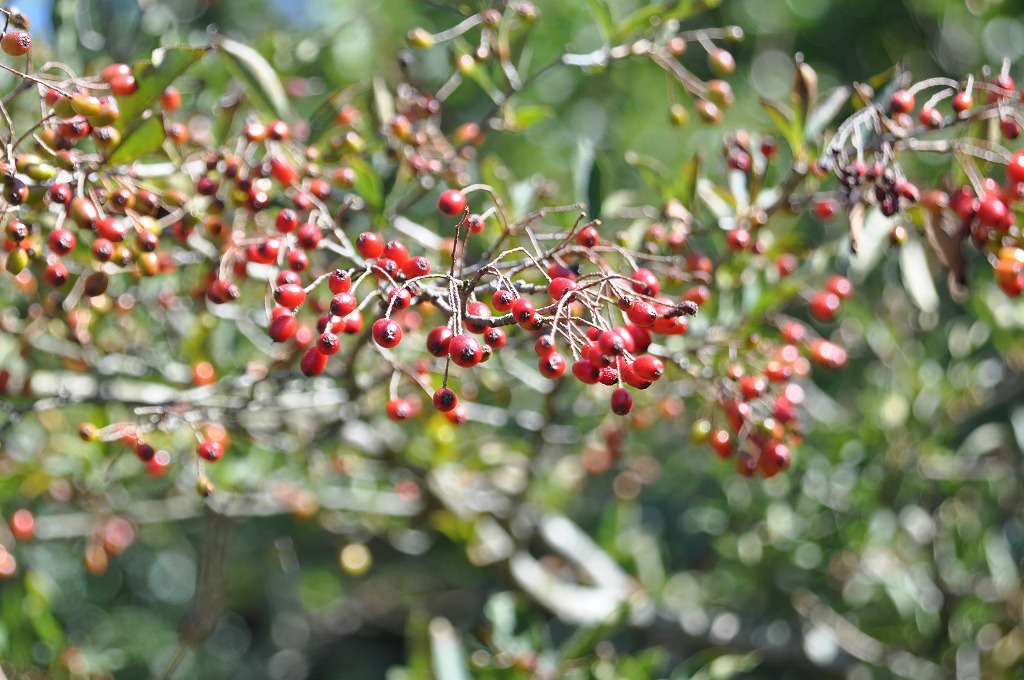 b0104861_220661.jpg