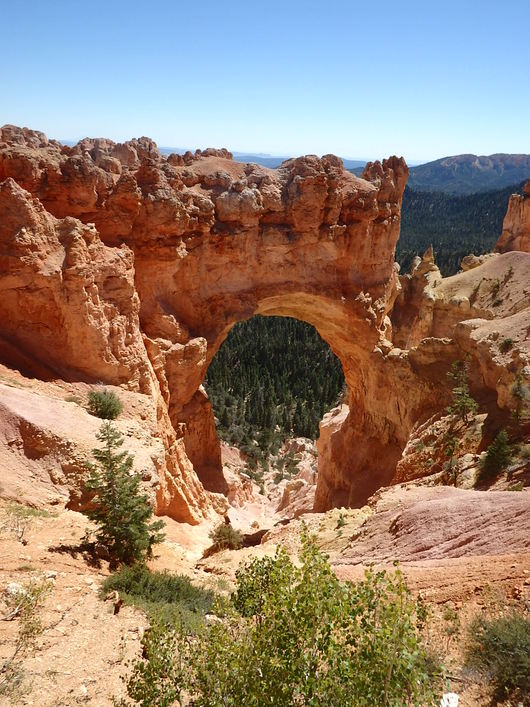 c0115366_20391398.jpg