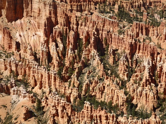 c0115366_20401937.jpg