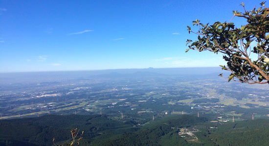 b0050172_23162211.jpg