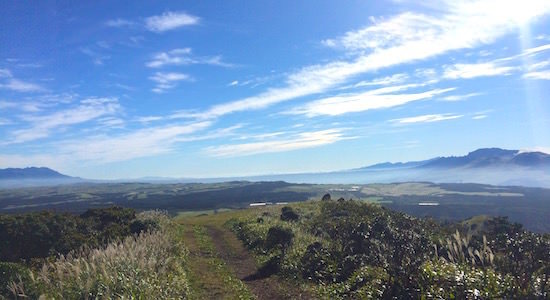b0050172_23190339.jpg