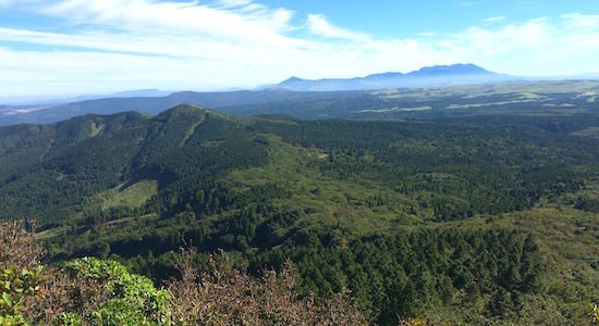 b0050172_23213449.jpg