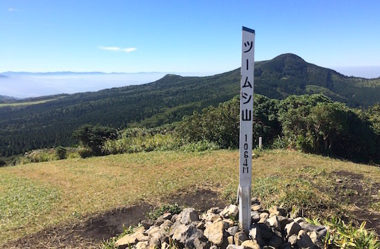 b0050172_23233751.jpg