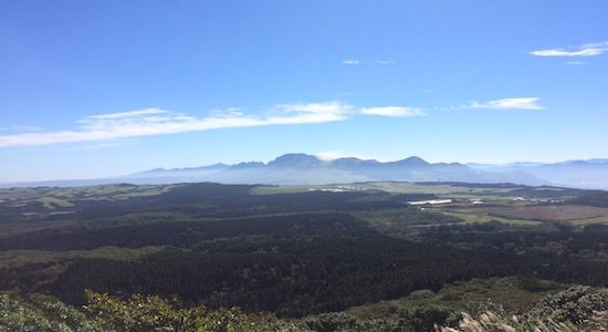b0050172_23295993.jpg