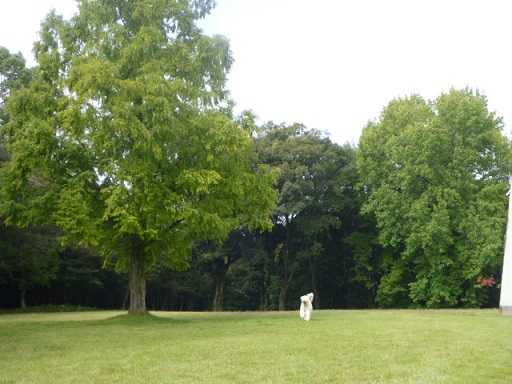 e0161972_11494538.jpg