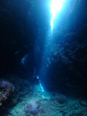 b0033573_17523780.jpg