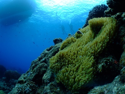 b0033573_17525357.jpg