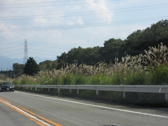 d0109373_21375455.jpg