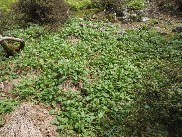 a0253180_8504090.jpg
