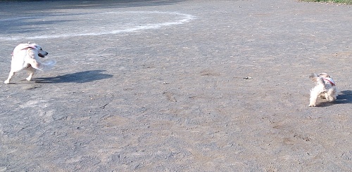 b0136381_13505048.jpg
