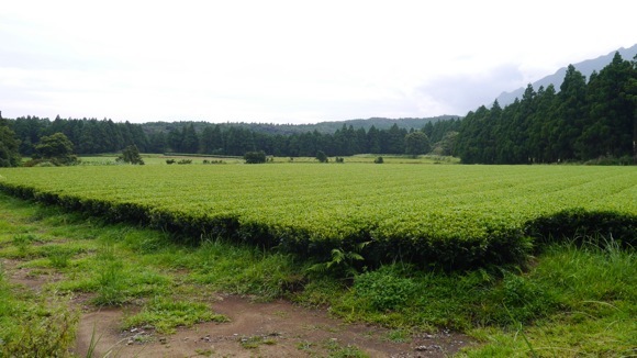 a0278382_15502090.jpg