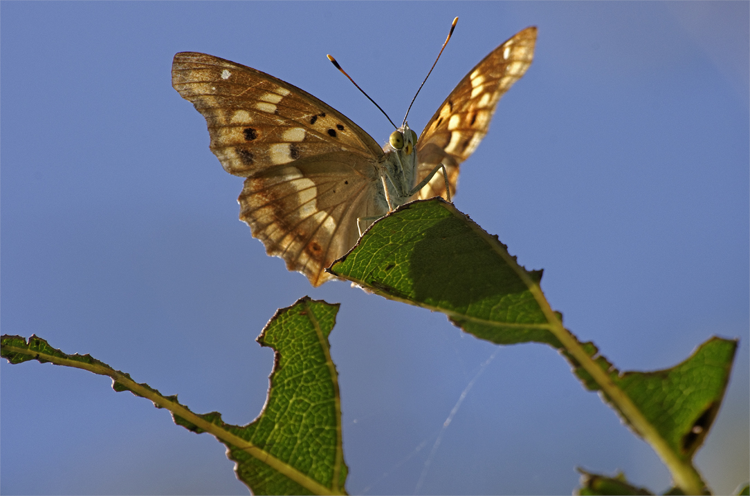 d0209988_2229217.jpg