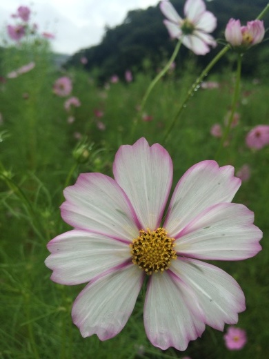 f0201297_05005556.jpg
