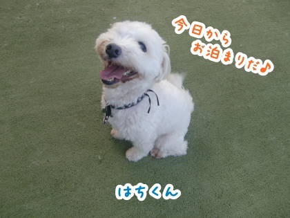 a0338800_18175601.jpg