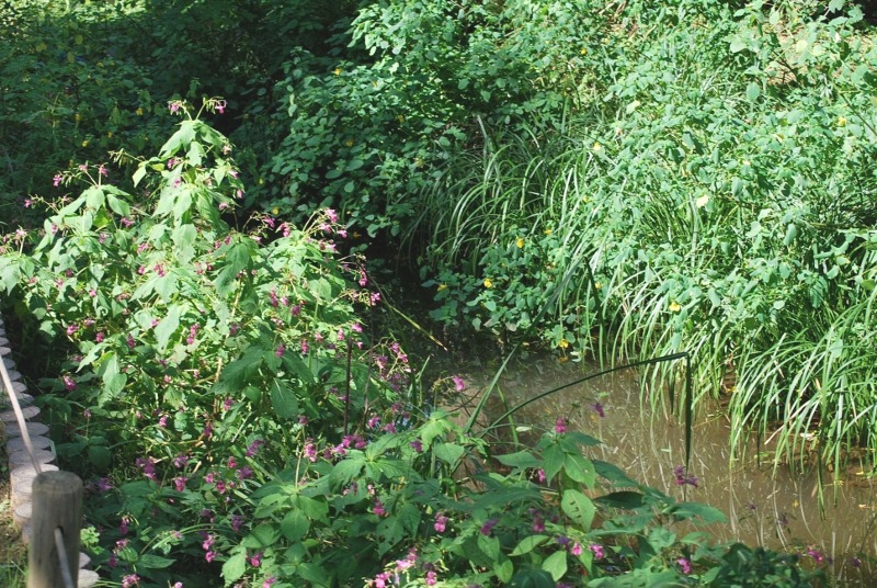 e0025300_20244521.jpg