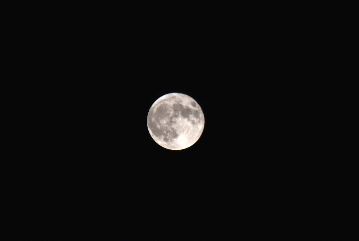 e0064400_23253326.jpg