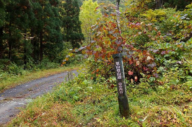 e0137200_21554061.jpg