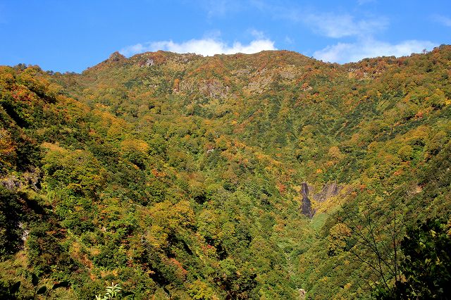 e0137200_215693.jpg