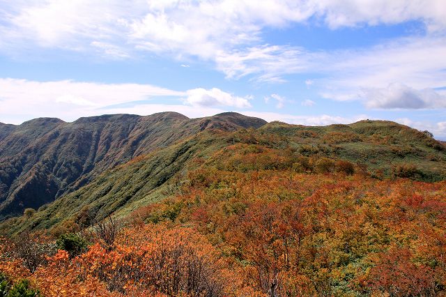 e0137200_21573059.jpg