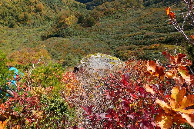 e0137200_21582234.jpg
