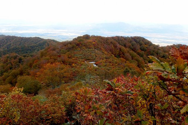 e0137200_2225553.jpg