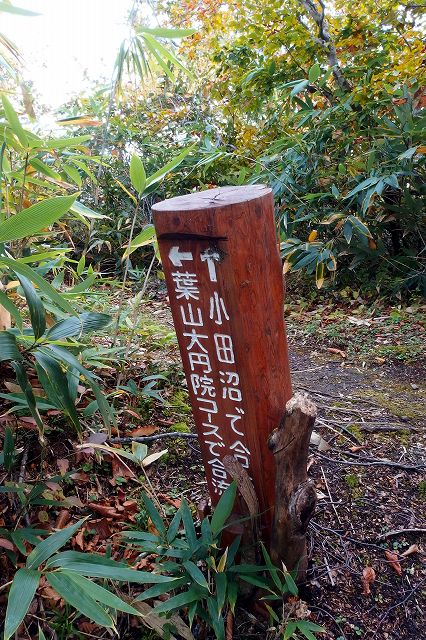 e0137200_223262.jpg