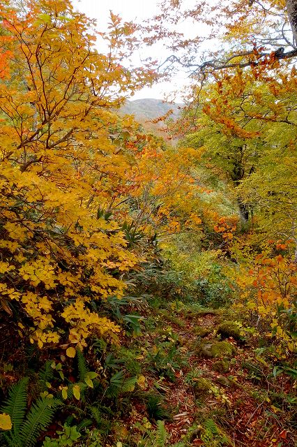 e0137200_2234163.jpg