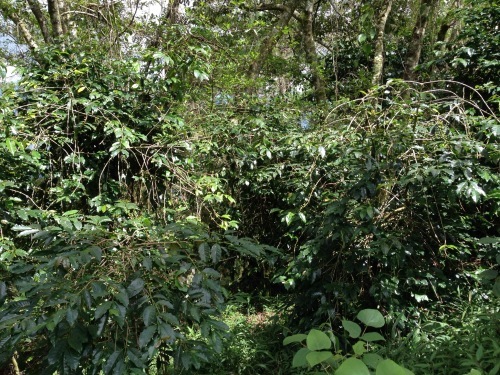 b0128901_13543507.jpg