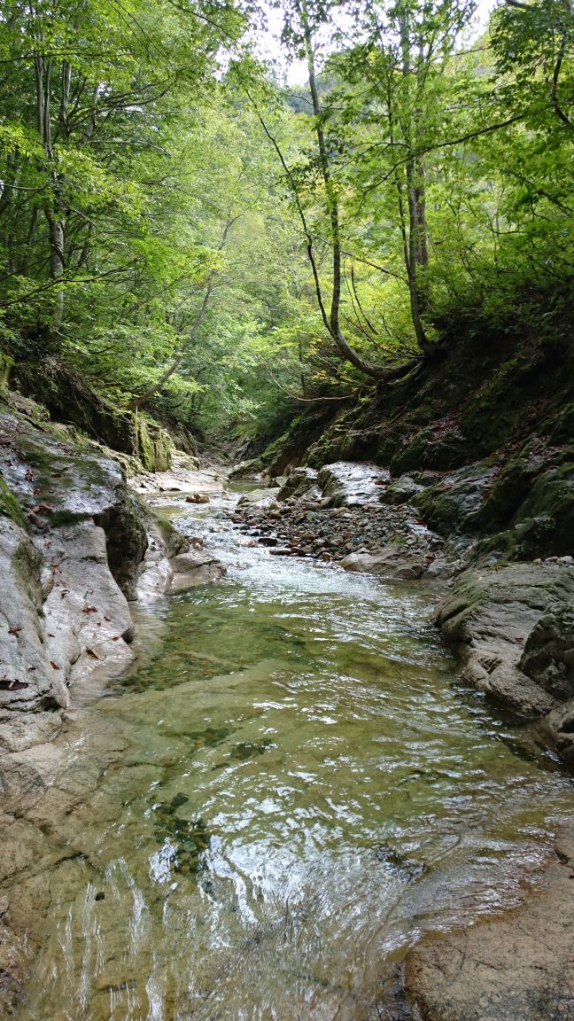 b0172805_2585718.jpg