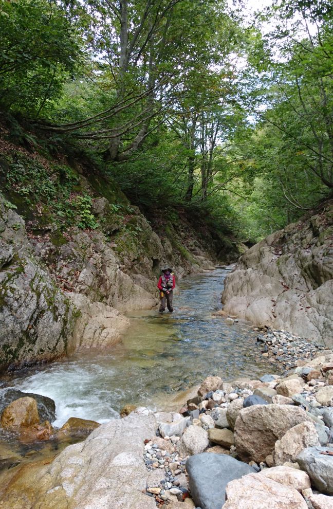 b0172805_259792.jpg