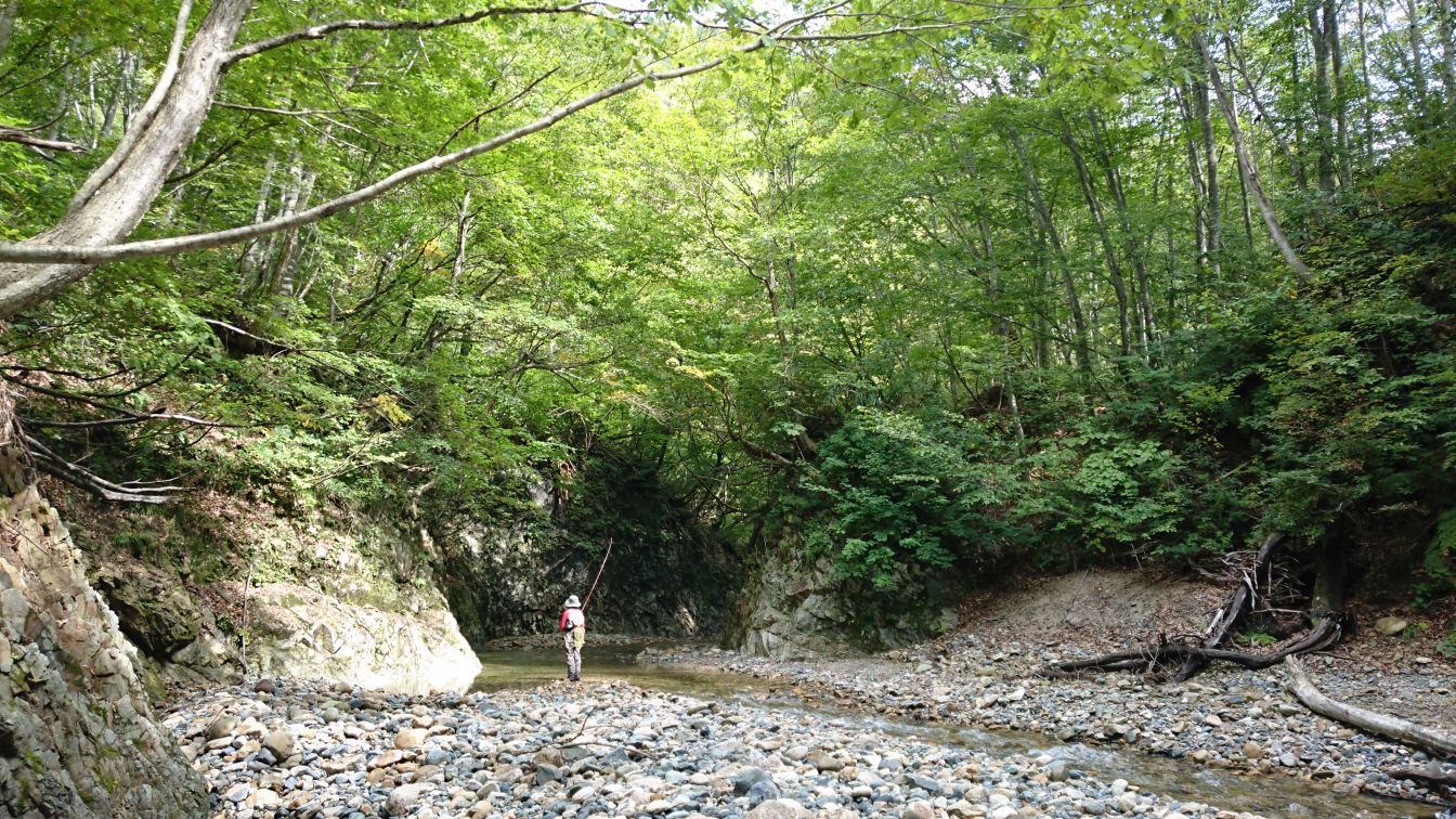 b0172805_305029.jpg