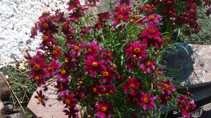 e0255908_039463.jpg