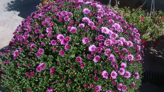 e0255908_0395378.jpg