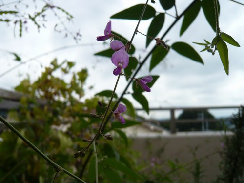 f0221708_13102680.jpg