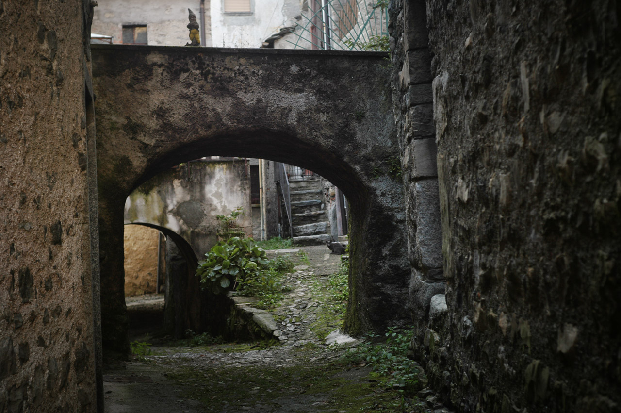 d0104210_671360.jpg