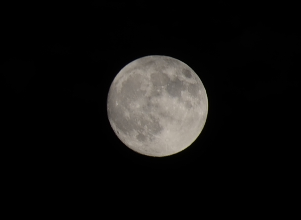 f0008510_1742065.png