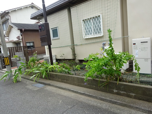 a0019212_17413760.jpg