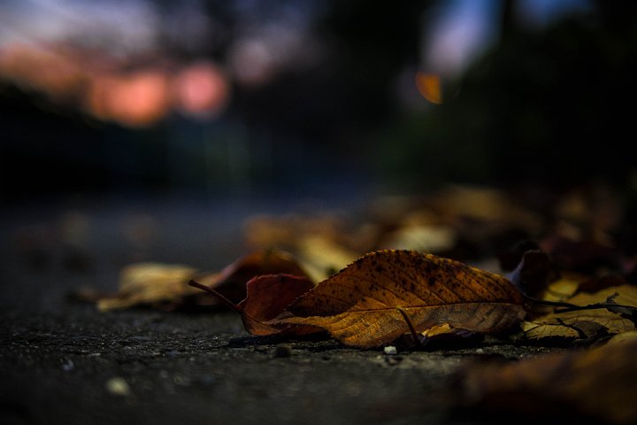 b0134829_16545655.jpg