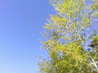 e0150843_18443176.jpg