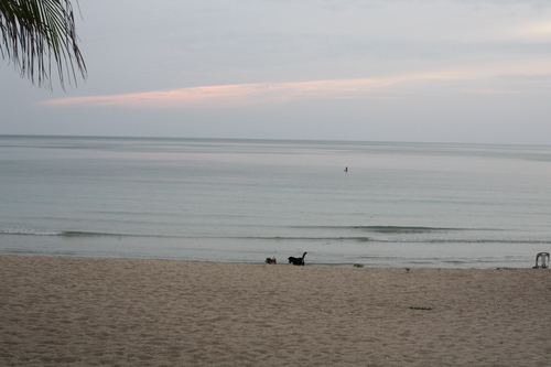 c0209845_13102360.jpg