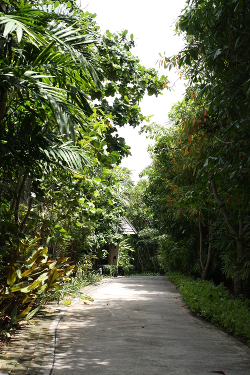 c0209845_201768.jpg