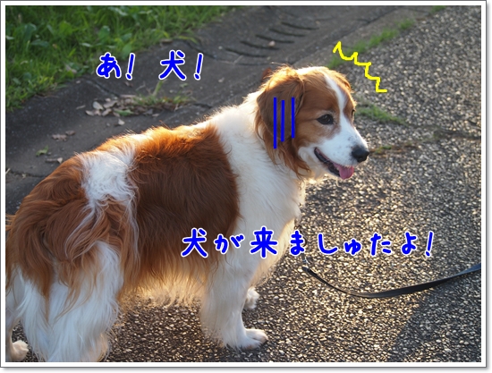 d0013149_041473.jpg
