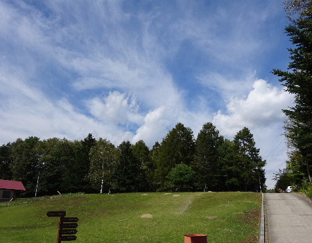 e0172950_2045113.jpg