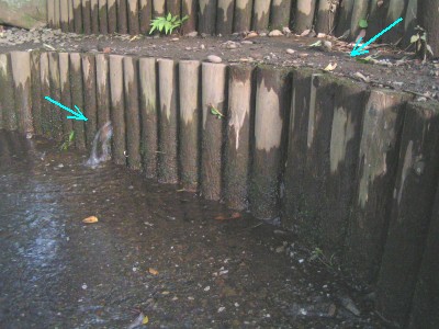 c0112172_94354.jpg