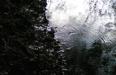 c0112172_944675.jpg