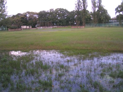 c0112172_95483.jpg