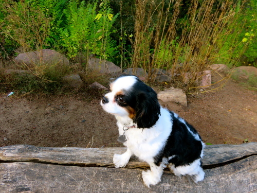 d0260278_07170458.jpg