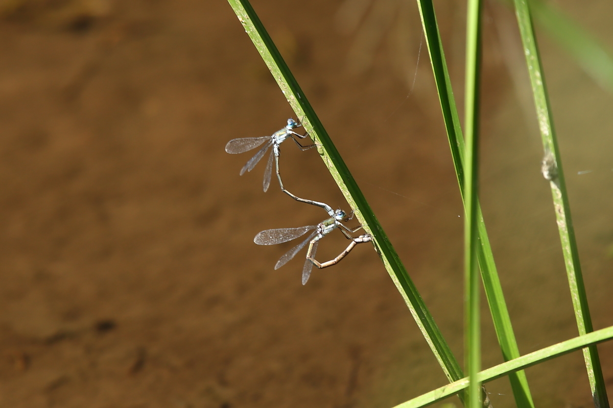 e0249878_00091245.jpg